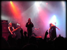 tristania